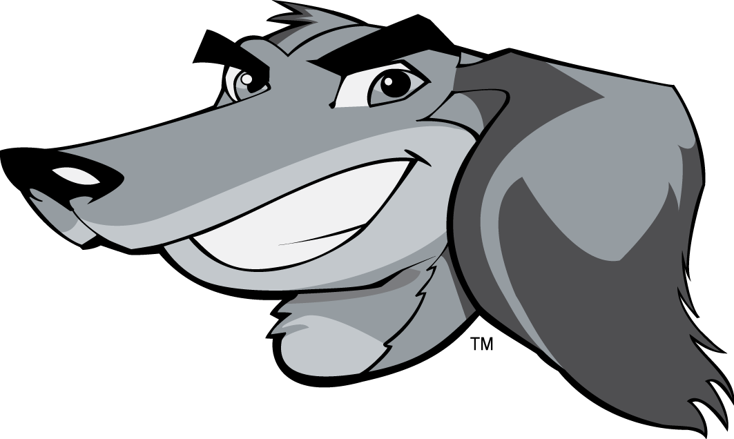 Southern Illinois Salukis 2006-2018 Mascot Logo v6 diy iron on heat transfer